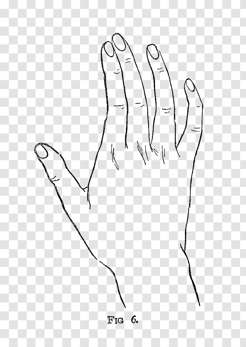 Drawing Nail Hand - Tree - Hand-painted Illustration Transparent PNG