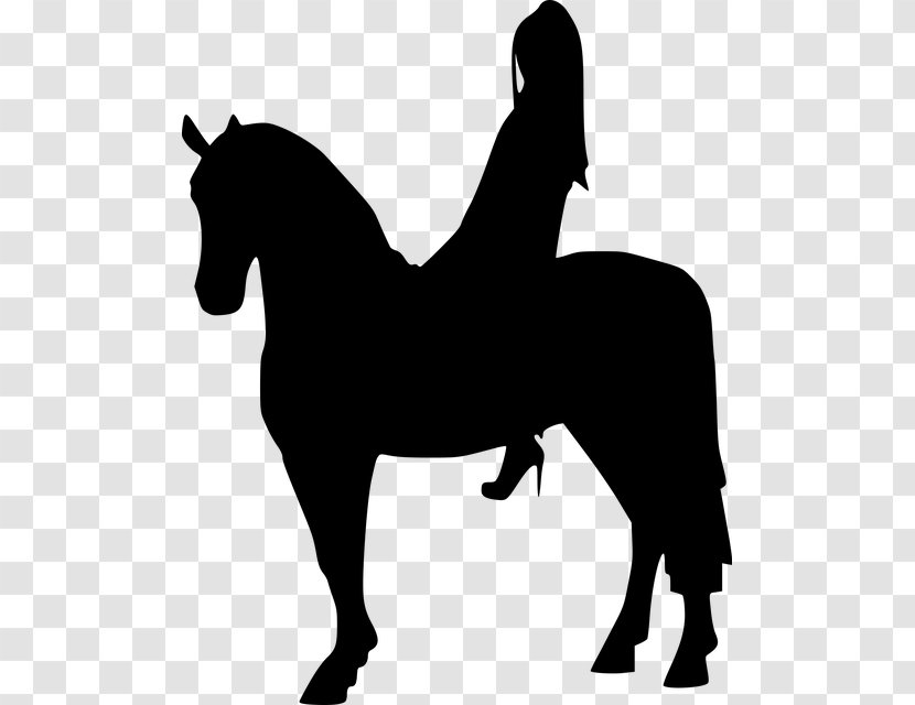 Woman Cartoon - Stallion - Horse Supplies Blackandwhite Transparent PNG