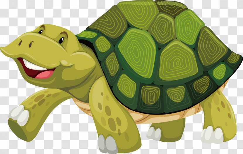 Turtle Shell Stock Photography Illustration - Tortoise - Vector Transparent PNG