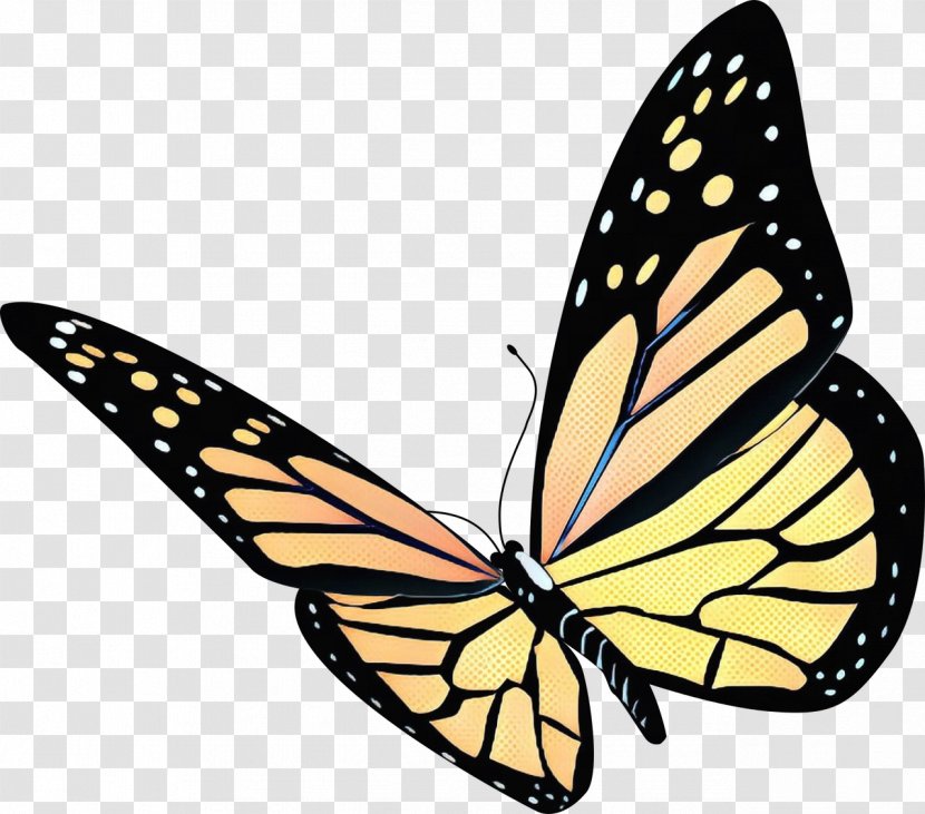 Clip Art Butterfly Image Desktop Wallpaper - Birdwing - Moths And Butterflies Transparent PNG