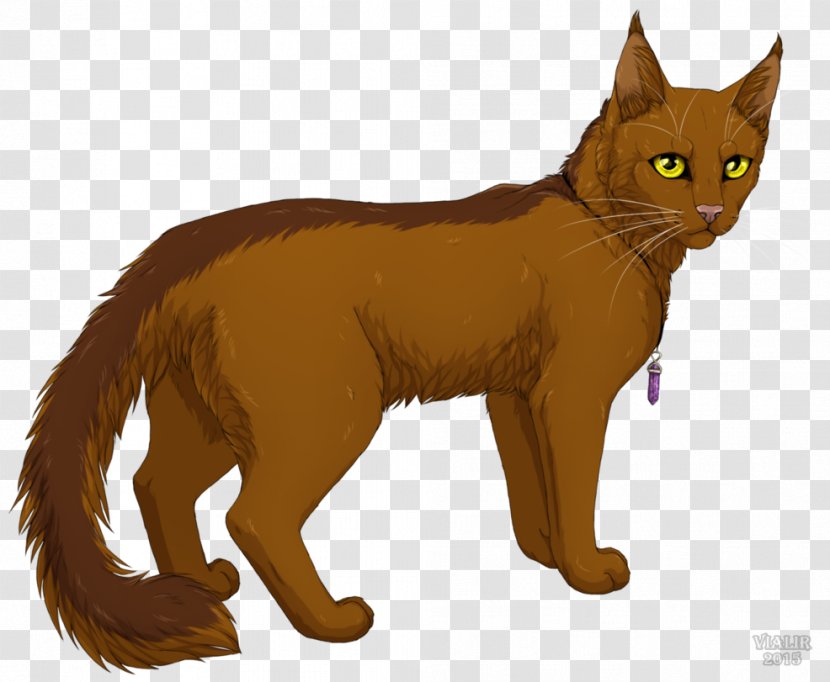 Whiskers Kitten Warriors Cat Tigerstar - Deviantart Transparent PNG