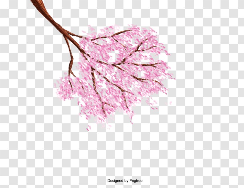 Cherry Blossom Resource - Flower Transparent PNG