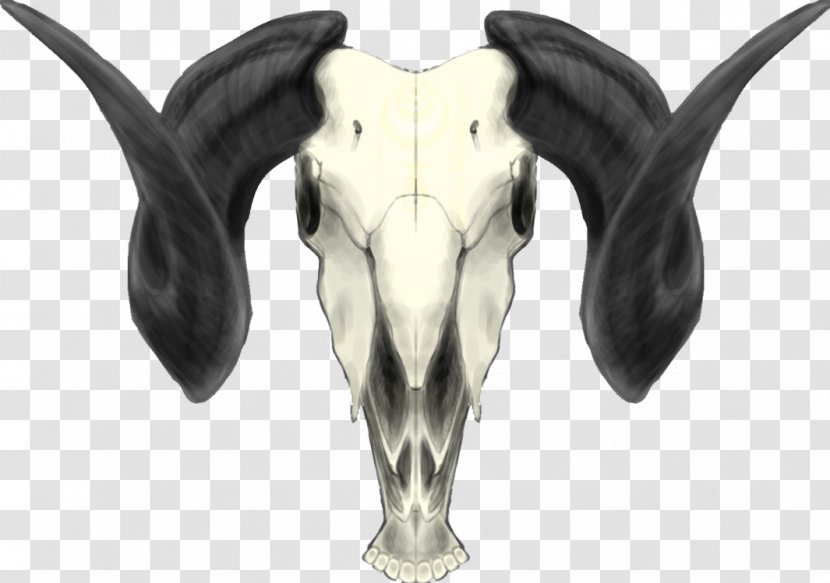 Cattle Antelope Horn Goat Caprinae Transparent PNG