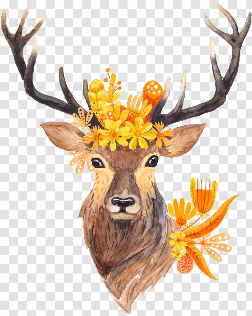 Deer Hunting Antler Horn Transparent PNG
