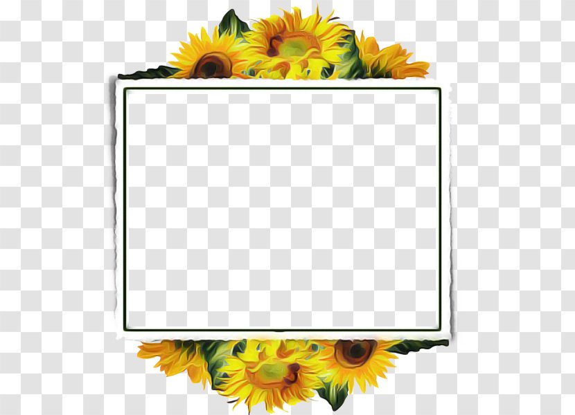 Background Flowers Frame - Picture - Cut Transparent PNG