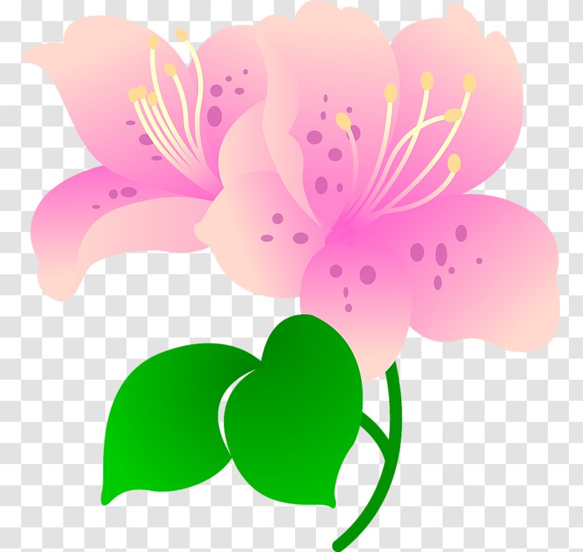 Flower - Blossom Transparent PNG