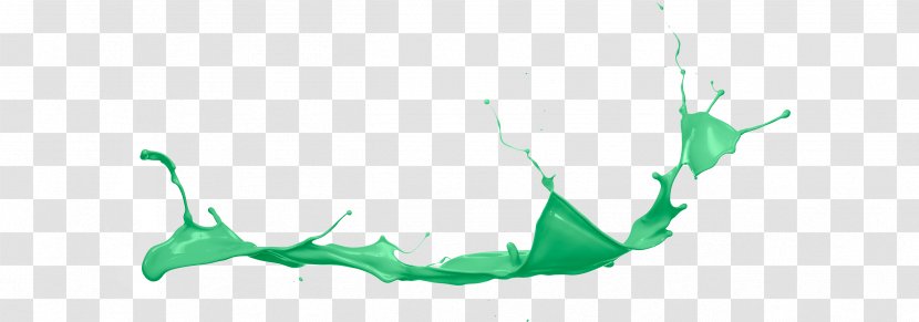 California Leaf Water Graphics Design - Close Up - Green Painters Bucket Transparent PNG