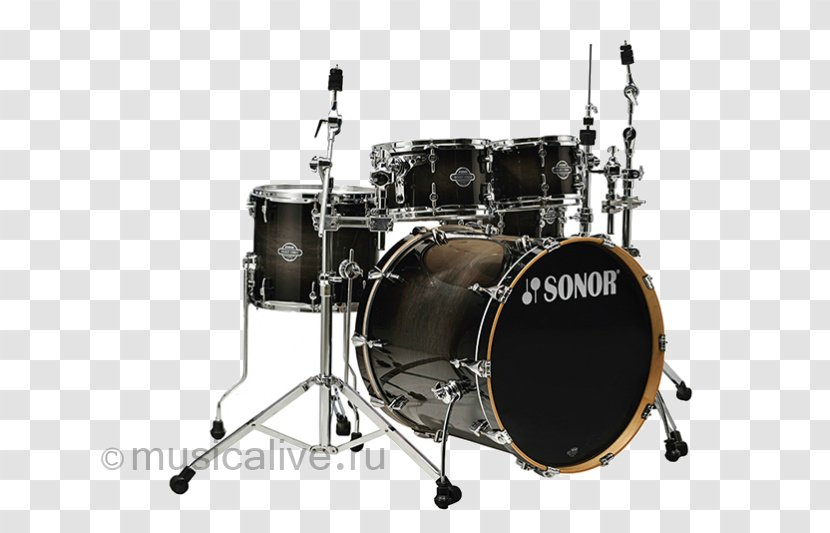 Bass Drums Drum Kits Tom-Toms Snare Timbales - Tree Transparent PNG