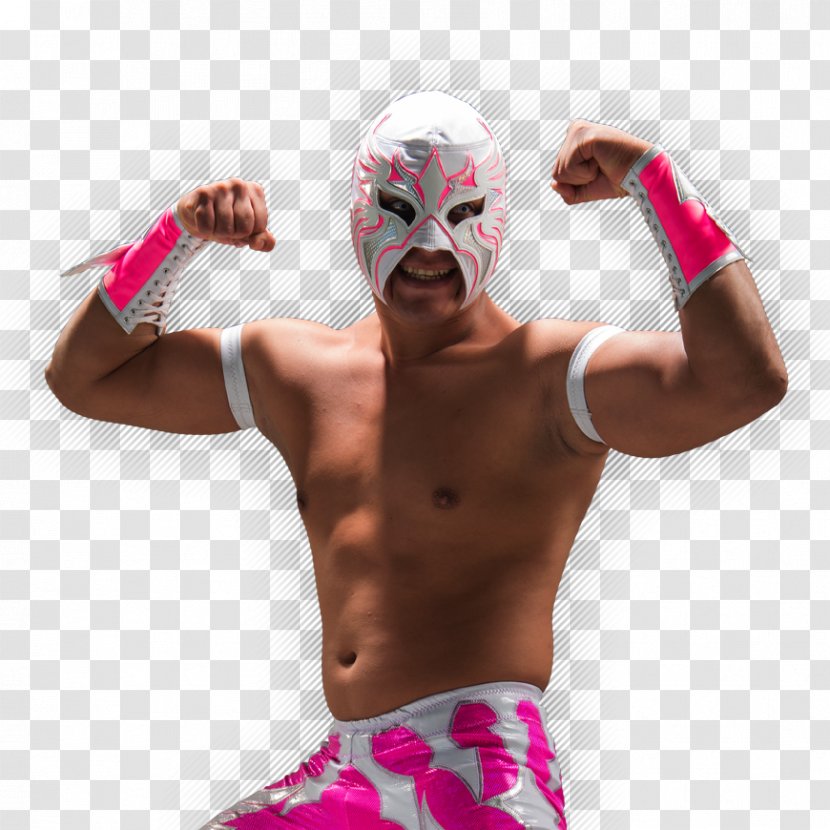 Argenis Lucha Underground Professional Wrestler Libre AAA Worldwide - Flower - Wrestling Transparent PNG