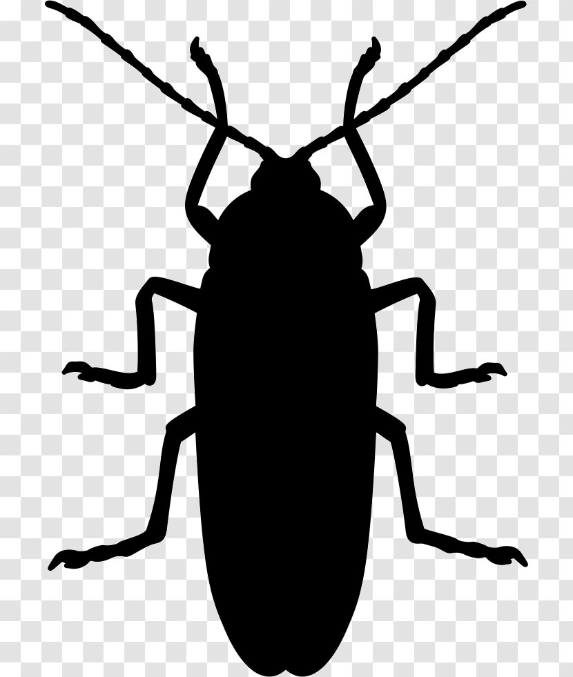 Cockroach Mosquito Beetle Silhouette Pest - Monochrome Transparent PNG