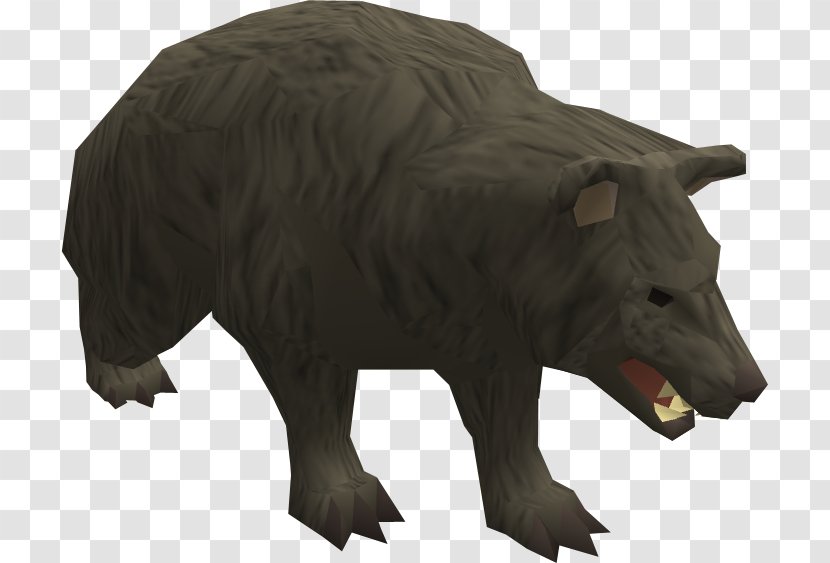 RuneScape American Black Bear Brown Grizzly - Wildlife Transparent PNG