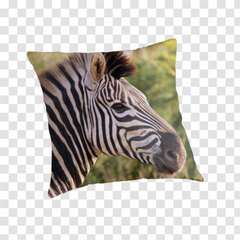 Quagga Throw Pillows Cushion Wildlife - Pillow Transparent PNG