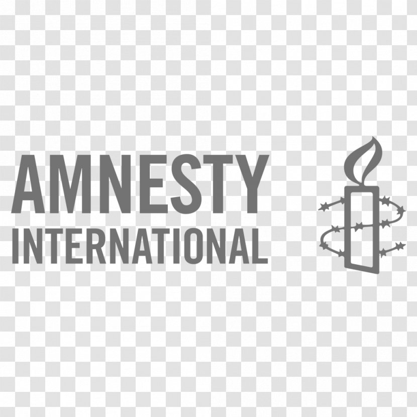 Amnesty International USA Boko Haram Insurgency Human Rights Action Center - Logo - Organization Transparent PNG