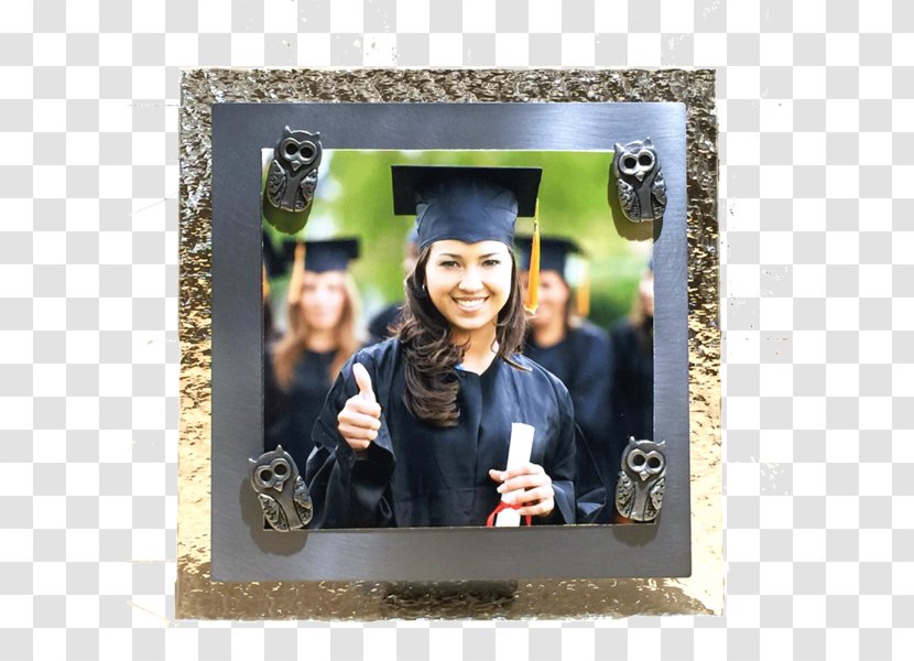 California State University, Sacramento Higher Education College Educational Consultant - Academic Degree - Student Transparent PNG