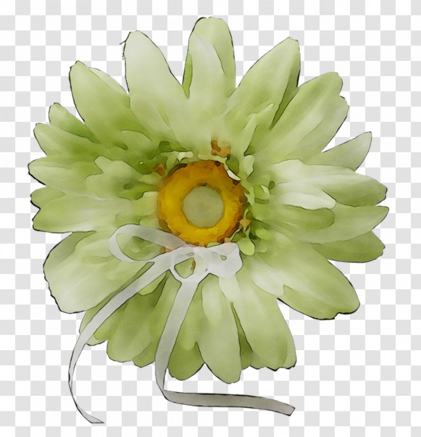 Cut Flowers - Daisy - Flowering Plant Transparent PNG