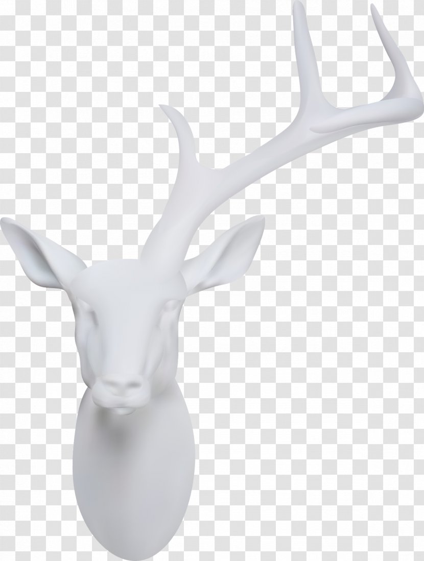 Deer Horn - Sculpture - Vector Stone Transparent PNG