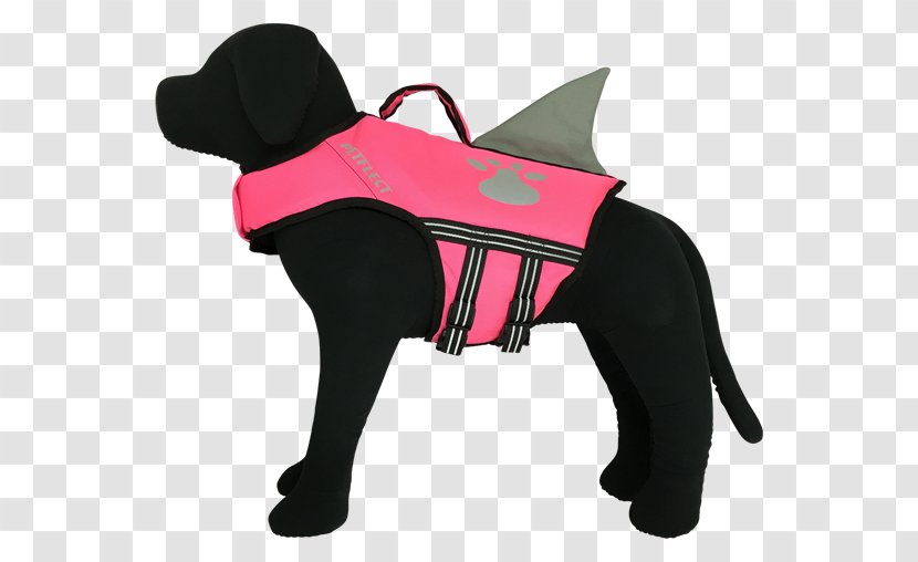 Dog Breed Pug Life Jackets Service - Foot Closeup Transparent PNG