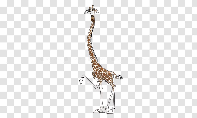Giraffe Neck Terrestrial Animal Wildlife - Figure Transparent PNG