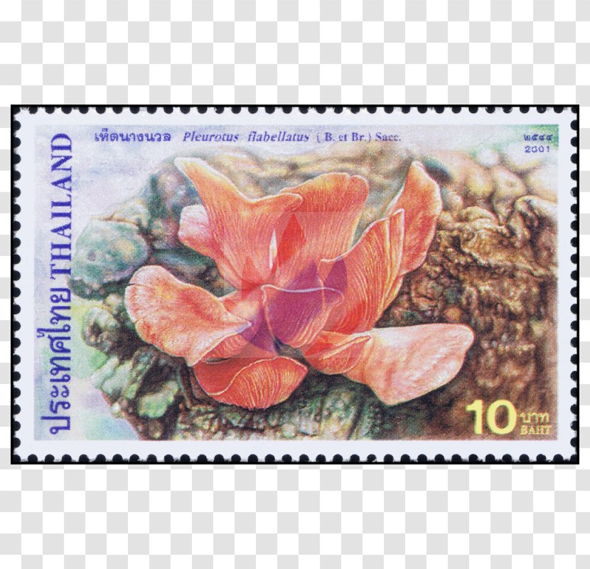 Postage Stamps Flowering Plant Mail - Flora - Schizophyllum Commune Transparent PNG