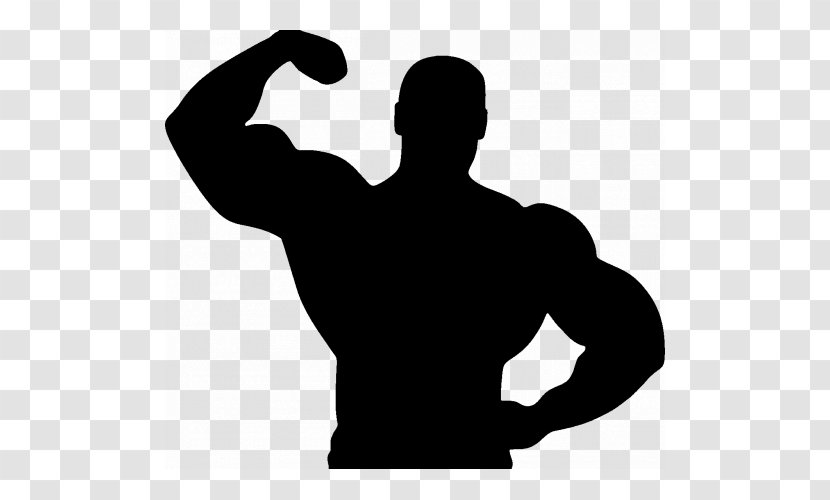 Fitness Centre Silhouette Bodybuilding Physical - Muscle Transparent PNG
