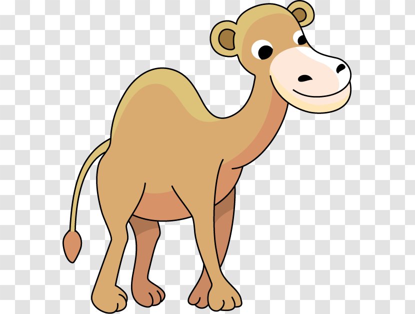 Bactrian Camel Clip Art - Terrestrial Animal - Cliparts Transparent PNG