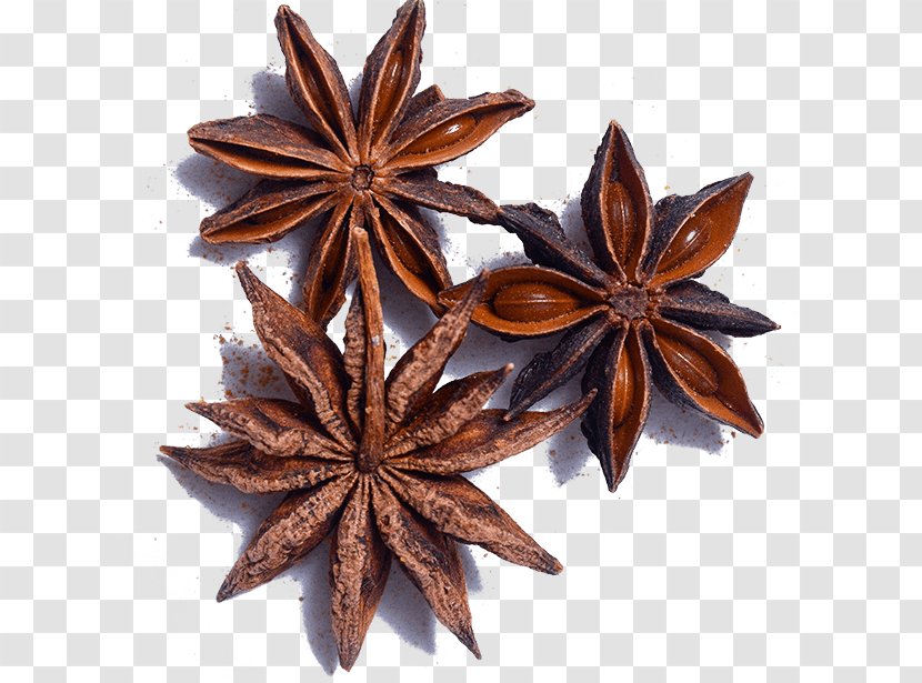 Star Anise Plant Cinnamon Leaf - Sweet Gum Herb Transparent PNG