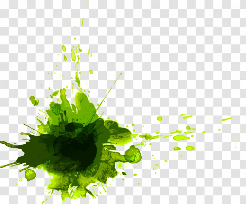 Color Image Vector Graphics Green Painting - Energy - Saving Transparent PNG