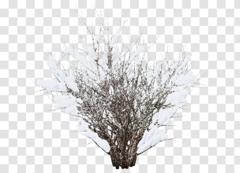Winter Image Tree Clip Art - Grass Transparent PNG
