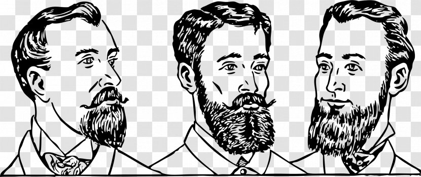 Beard Hairstyle Moustache Fashion - Tree - Hair Style Transparent PNG