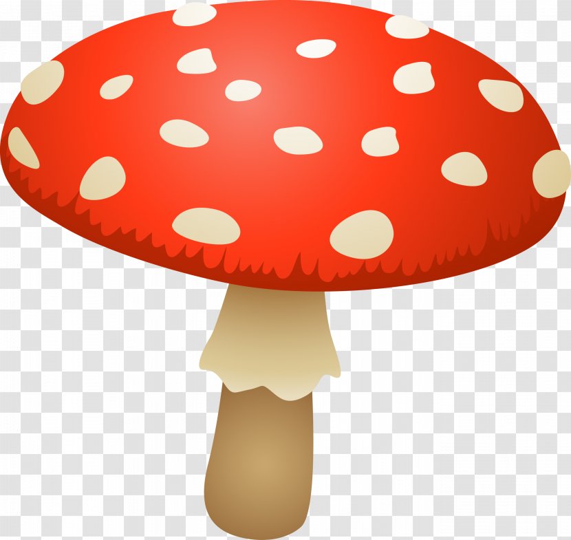 Oyster Mushroom Fungus Edible Amanita Muscaria - Boletus Edulis Transparent PNG