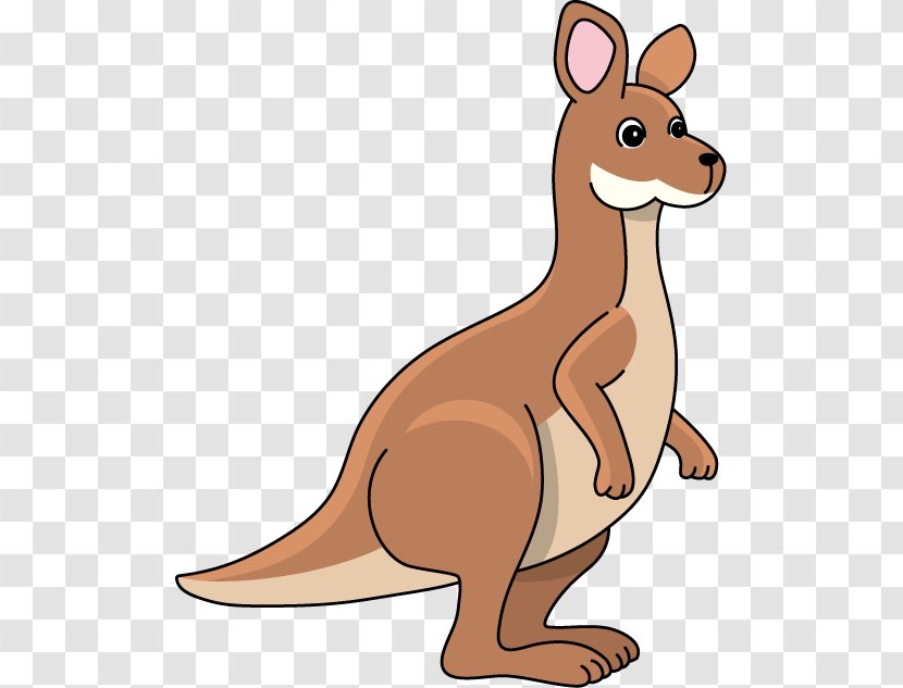 Kangaroo Clip Art - Cartoon - Cliparts Transparent PNG