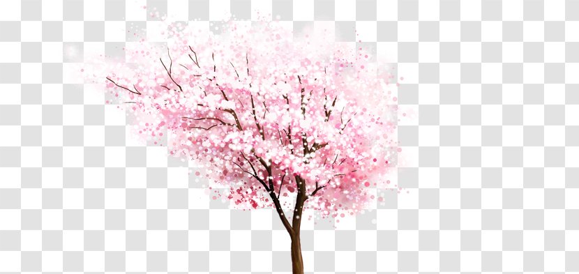 Cherry Blossom Download Computer File - Blossoms Transparent PNG