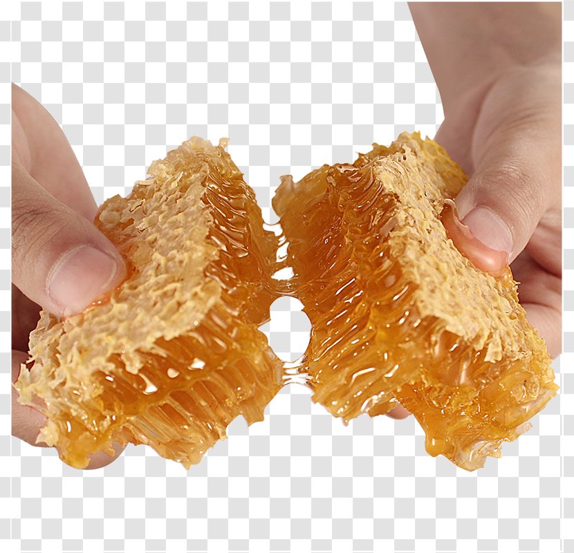 Honey Bee Honeycomb Comb - Breaking The Transparent PNG