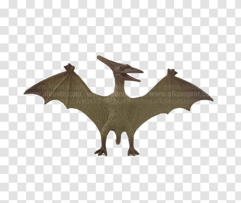 BAT-M - Bat - Ancient Animal Transparent PNG