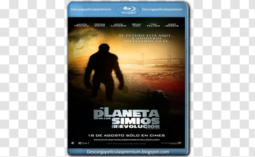 Poster Text Planet Of The Apes DVD Simian - Advertising - Dvd Transparent PNG