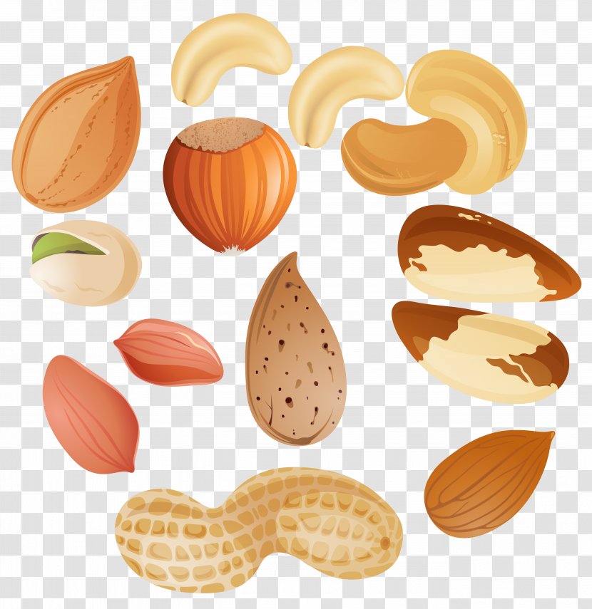 Nucule Tree Nut Allergy Clip Art - Commodity - Nuts Clipar Image Transparent PNG