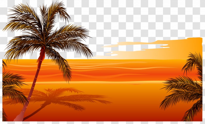 Beach Sunset Drawing Clip Art - Vector Transparent PNG