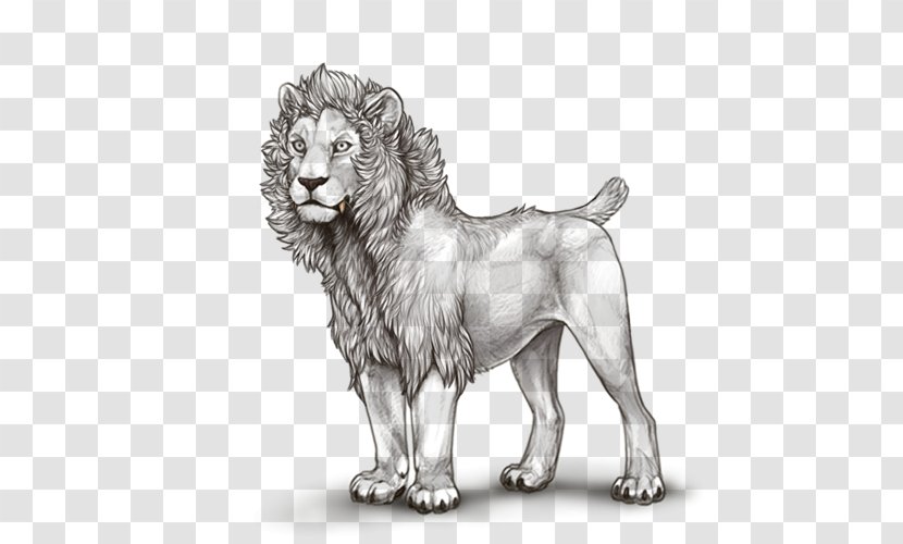 Dog Breed Lion Cat Drawing - Paw Transparent PNG