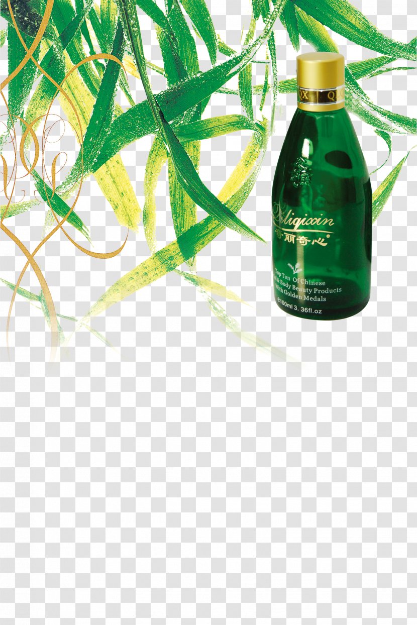 Essential Oil Cosmetics Guerlain Perfume - Green Natural Organic Oils Transparent PNG