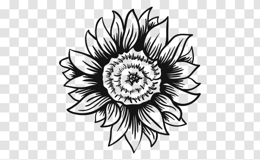Drawing Clip Art Image Illustration Vexel - Floral Design - Sunflower Vector Transparent PNG