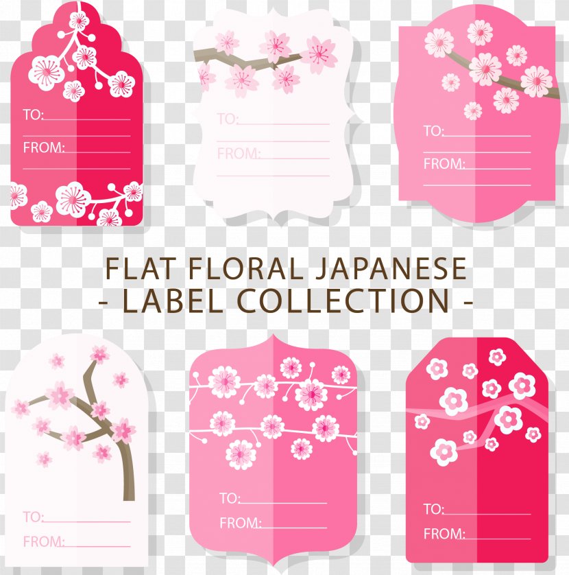 Cherry Blossom Drawing - Art - Vector Hand-painted Label Transparent PNG