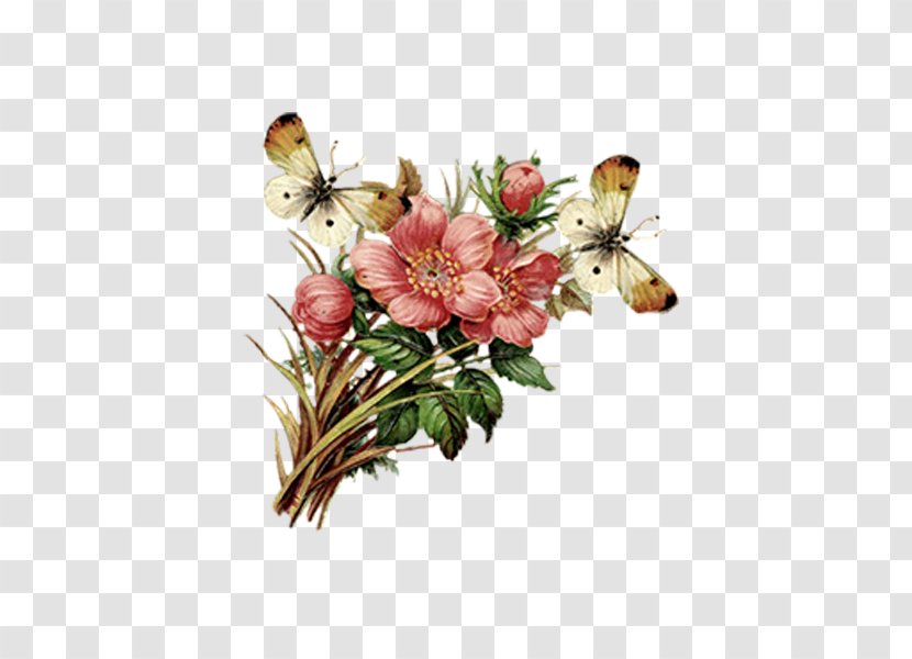 Condolence Book Condolences Sympathy Greeting Card - Plant - Butterfly Transparent PNG
