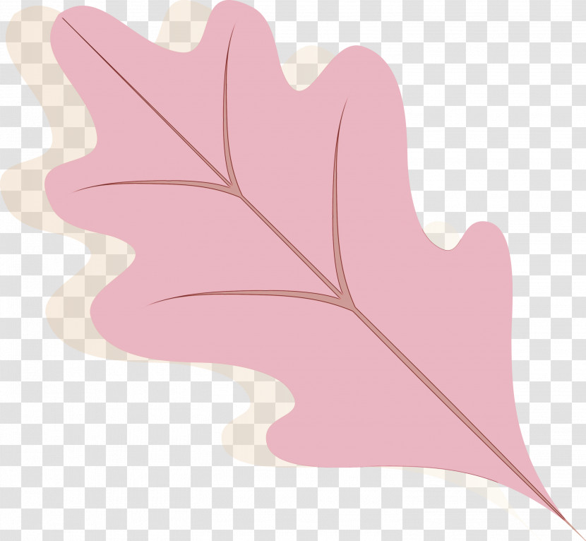 Leaf Tree Plants Science Biology Transparent PNG