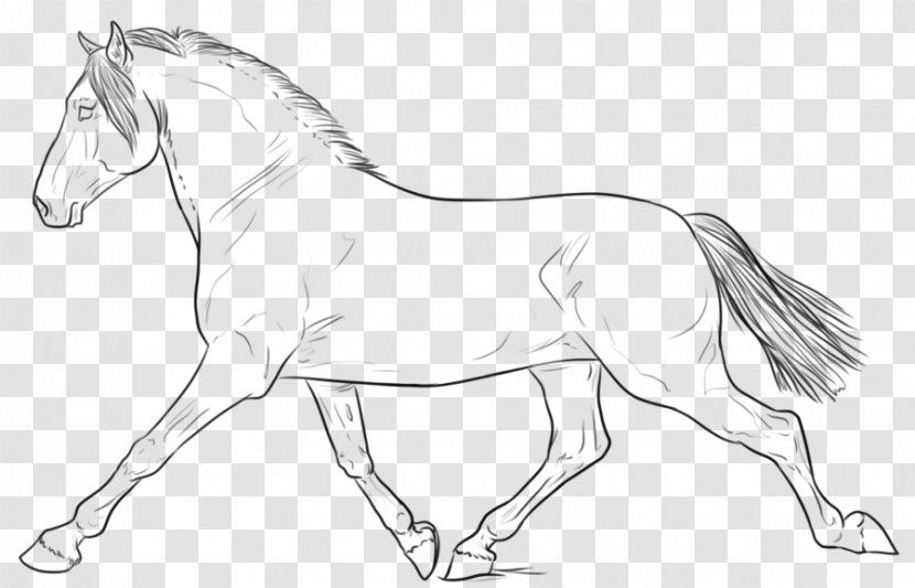 Line Art Horse Drawing Sketch - Museum - Lining Body Transparent PNG