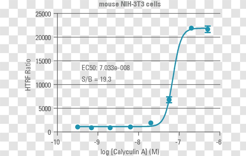 Histone H3 Cell Cycle Phosphorylation - Blue Transparent PNG