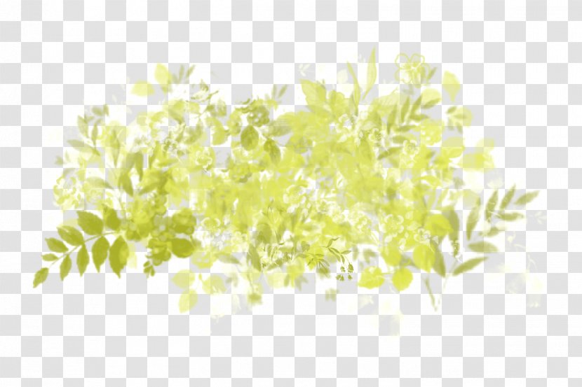 Desktop Wallpaper Computer Commodity Herb Plant Stem Transparent PNG