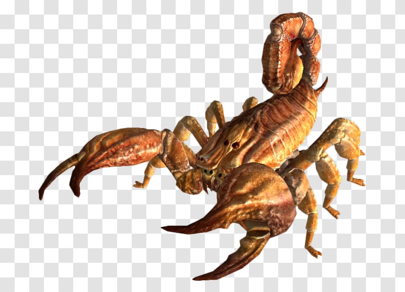 Fallout: New Vegas Fallout Tactics: Brotherhood Of Steel 4 3 Wasteland - Video Games - Scorpion Transparent PNG
