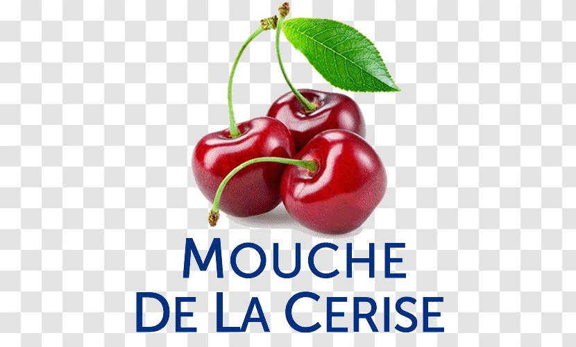 Barbados Cherry Superfood Nutraceutical Diet Food - Apple - La Mouche Des Fruits Transparent PNG