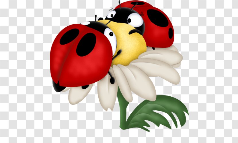 Insect Drawing Ladybird Beetle Clip Art Transparent PNG
