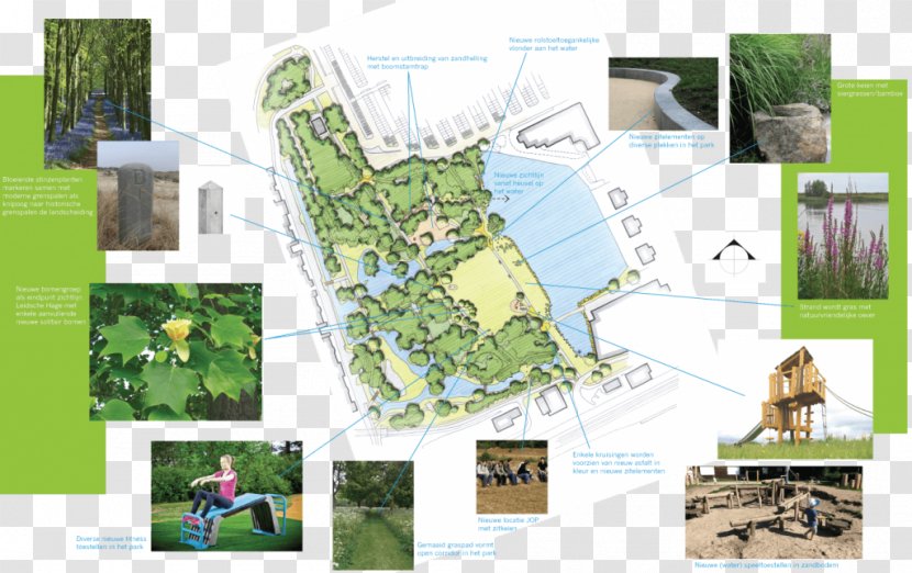 Zijdepark Leidsenhage Dutch Municipality Urban Design - Brand - Miscanthus Transparent PNG